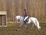 Afbeelding invoegen